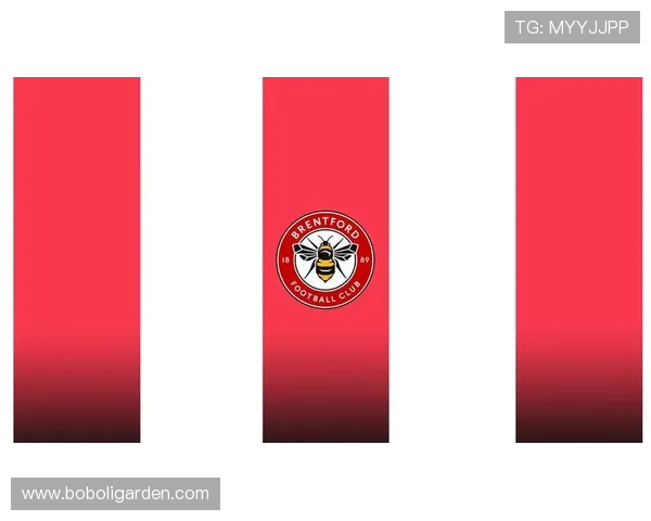 英超狮子图案球队的历史与象征意义 英超狮子图案球队的历史与象征意义