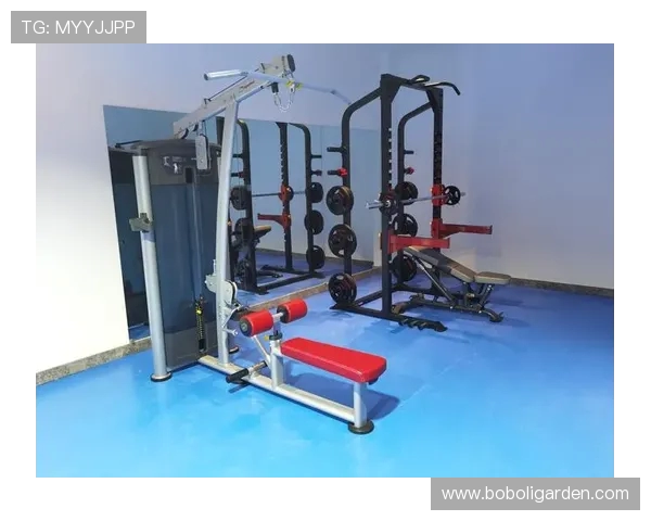 登台阶类健身器材使用效果与适用人群 登台阶类健身器材使用效果与适用人群