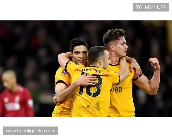 英超球队华人老板:英超联赛中拥有华人老板的球队 英超球队华人老板:英超联赛中拥有华人老板的球队