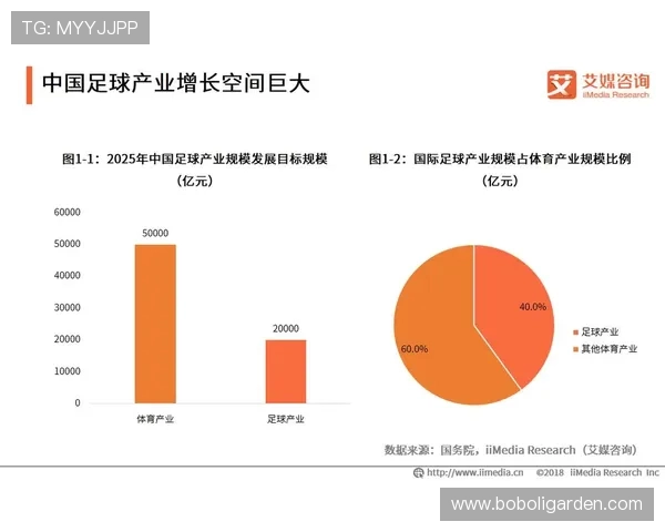 足球赛事中的全球发展趋势与影响 足球赛事中的全球发展趋势与影响