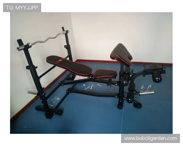 适合在家用的健身器材推荐省空间高效率