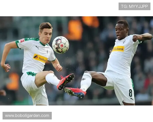 德甲球队战术危机公开视频合集：官方声明与战术复盘