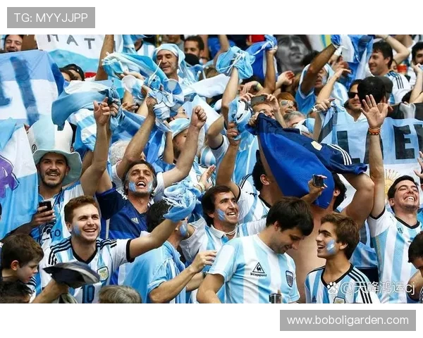 阿根廷队在2014年世界杯中的表现与关键时刻分析